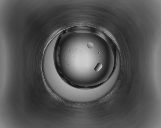 X0000084550946200703021503