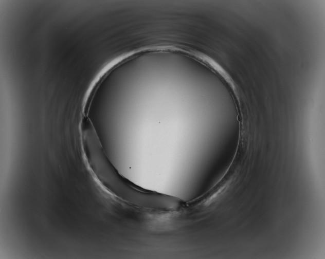 X0000084550951200703021503