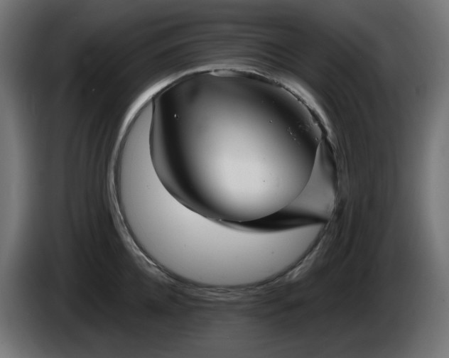 X0000084550952200703021503
