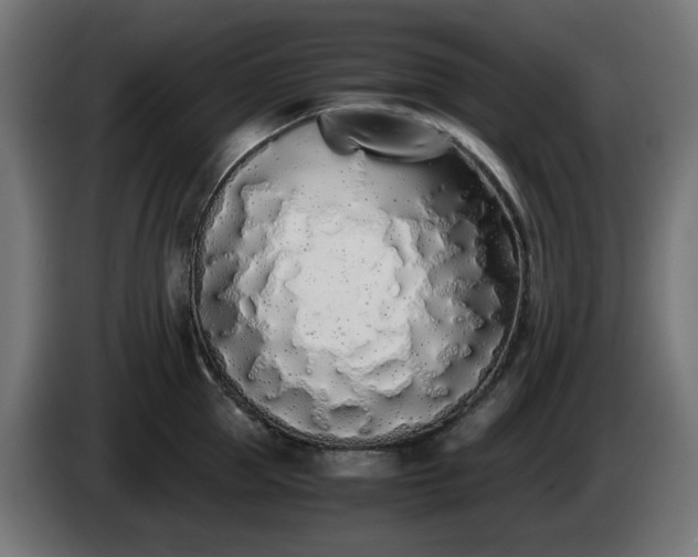 X0000084550953200703021503