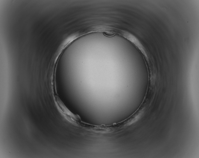 X0000084550954200703021503
