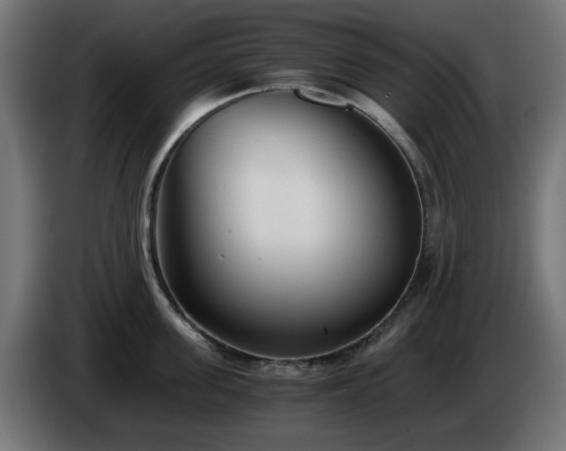 X0000084550955200703021503