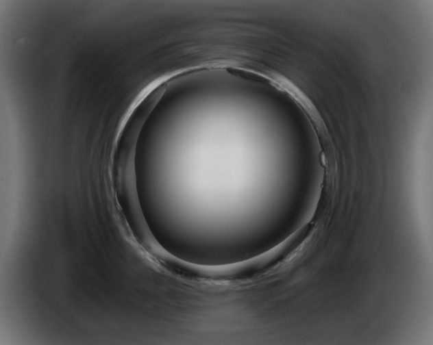 X0000084550956200703021503