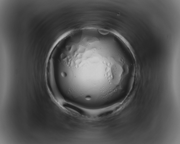 X0000084550957200703021503