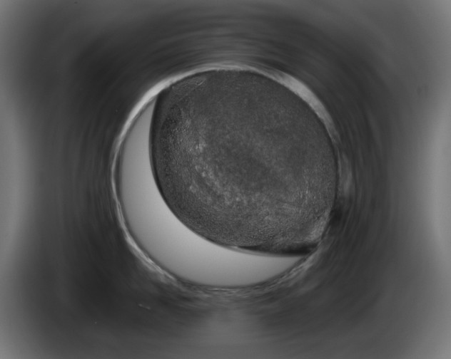 X0000084550958200703021503