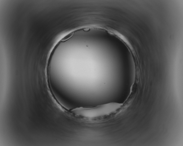 X0000084550959200703021503