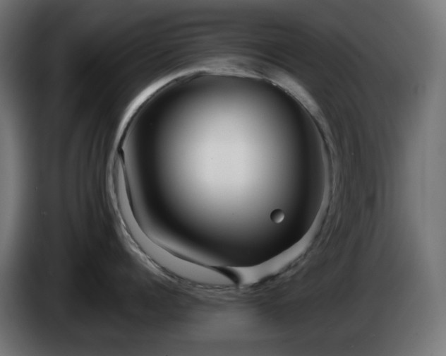 X0000084550960200703021503