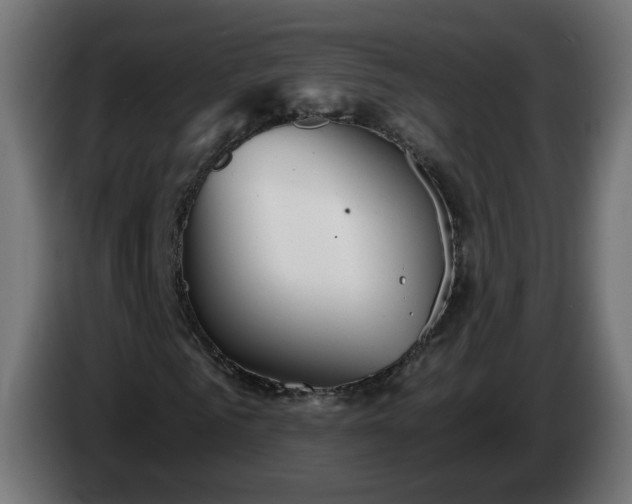 X0000084550961200703021502
