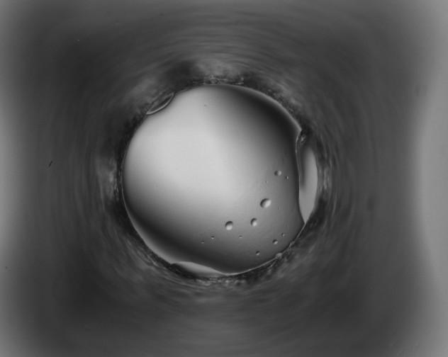 X0000084550963200703021502
