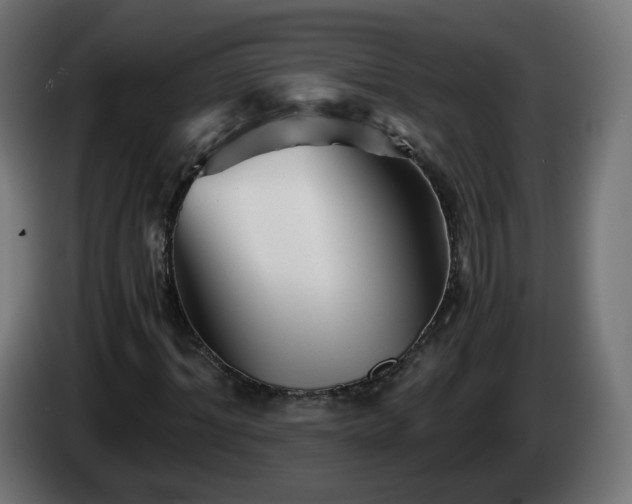 X0000084550964200703021502
