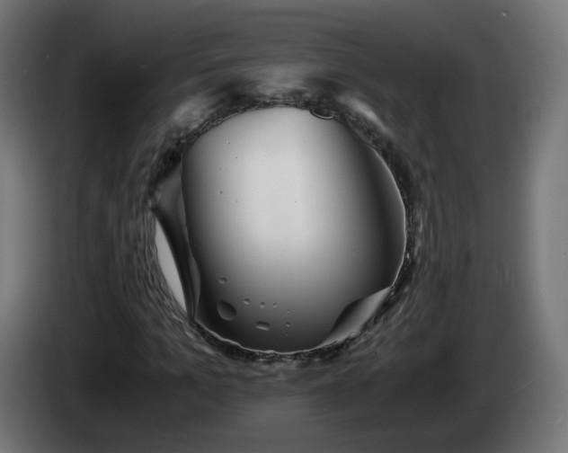 X0000084550965200703021502