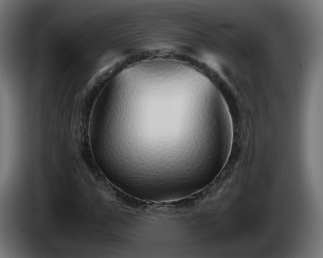 X0000084550967200703021502