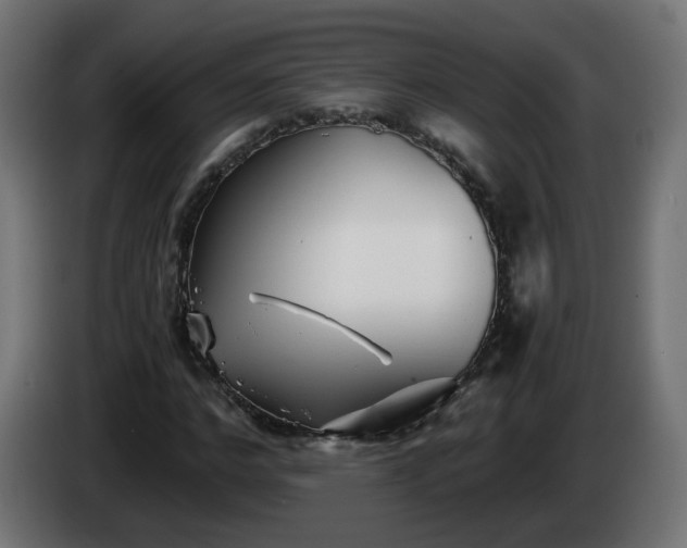 X0000084550968200703021502