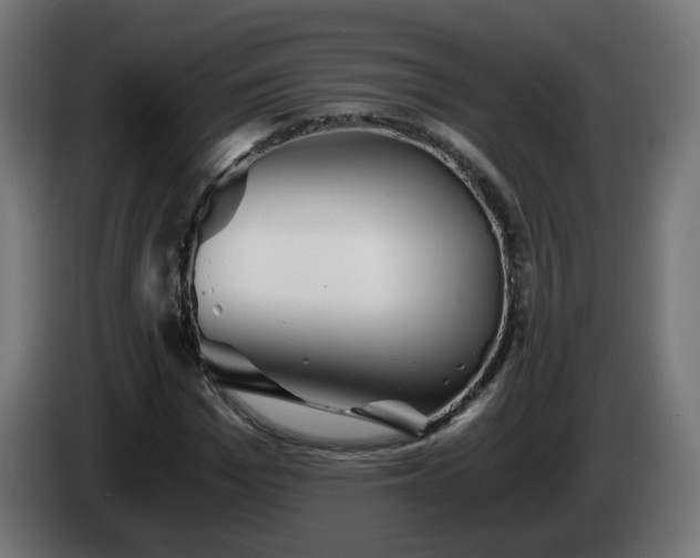 X0000084550969200703021502