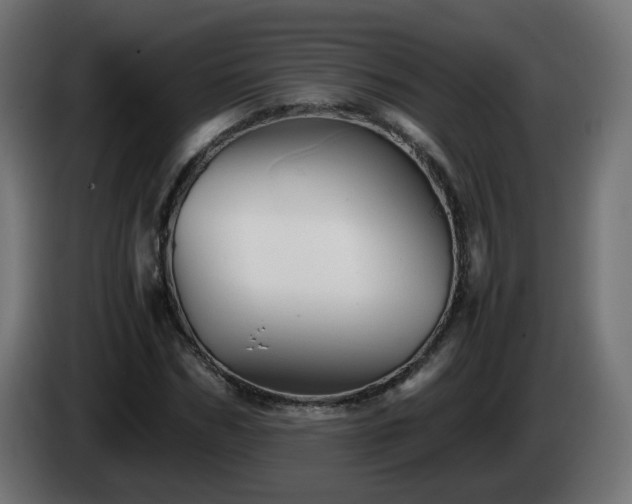 X0000084550970200703021502