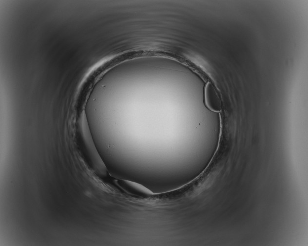 X0000084550971200703021502