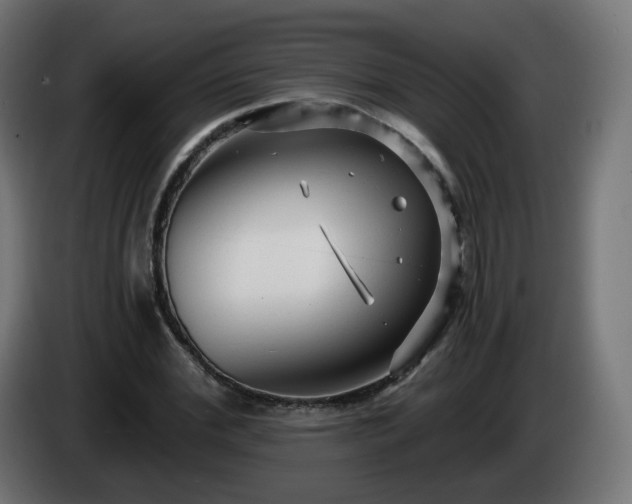 X0000084550972200703021502
