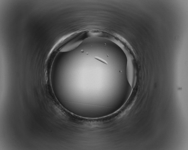 X0000084550973200703021502