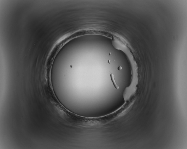 X0000084550974200703021502