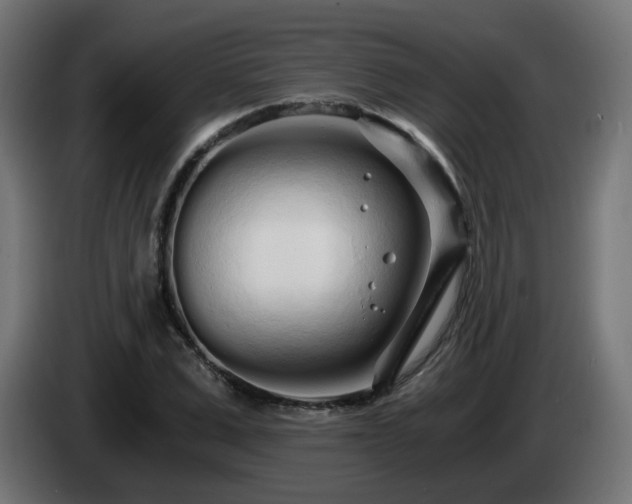 X0000084550975200703021502