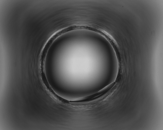 X0000084550976200703021502
