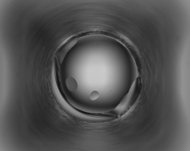 X0000084550977200703021502