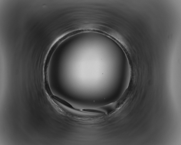 X0000084550980200703021502
