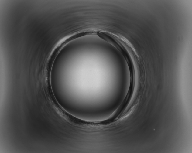 X0000084550981200703021502