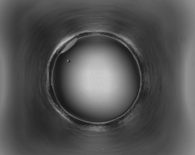X0000084550982200703021502