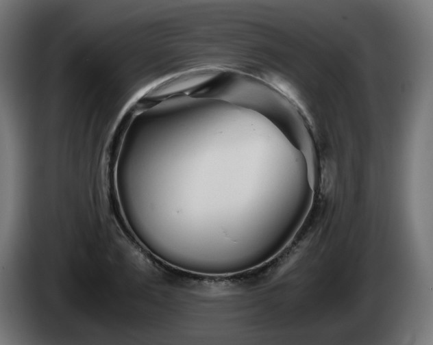 X0000084550983200703021502