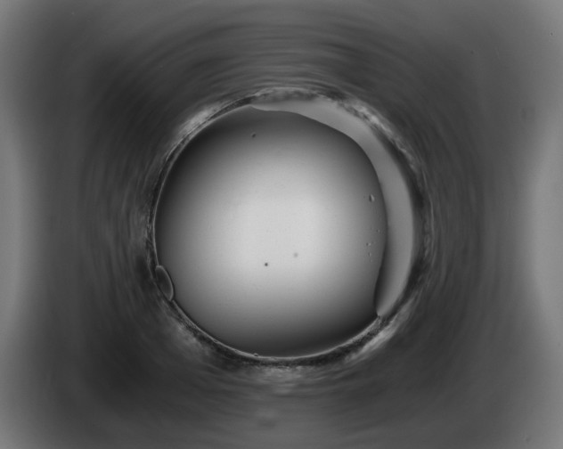 X0000084550985200703021502