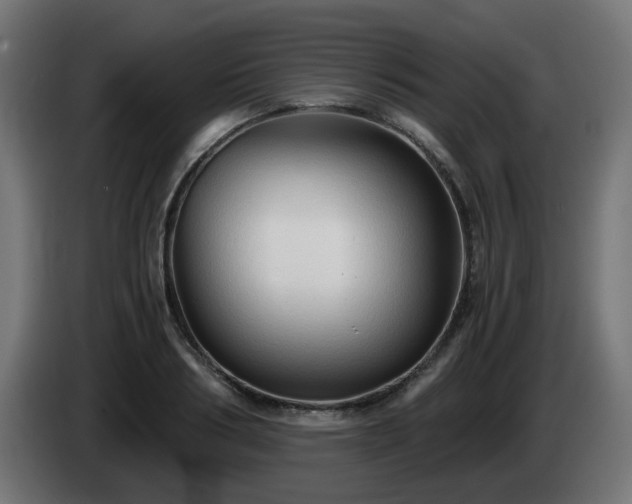 X0000084550986200703021502