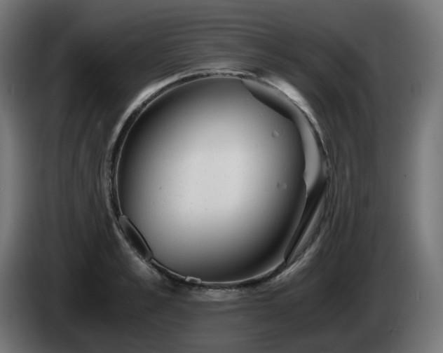 X0000084550989200703021502