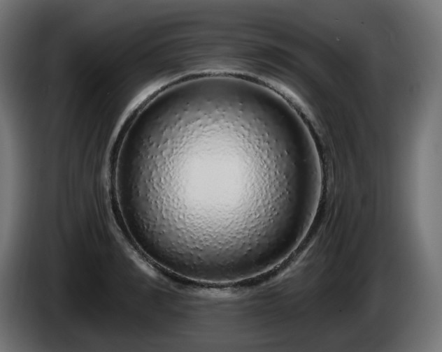 X0000084550990200703021502