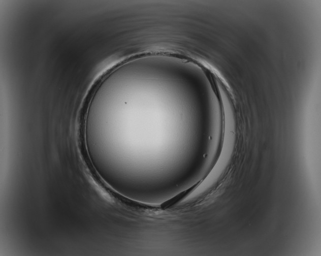 X0000084550991200703021502