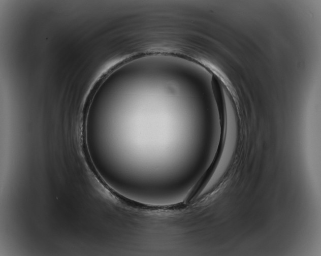 X0000084550992200703021502