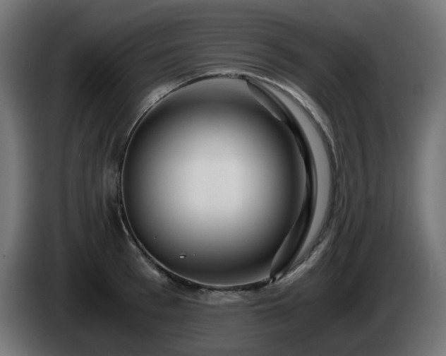 X0000084550993200703021502