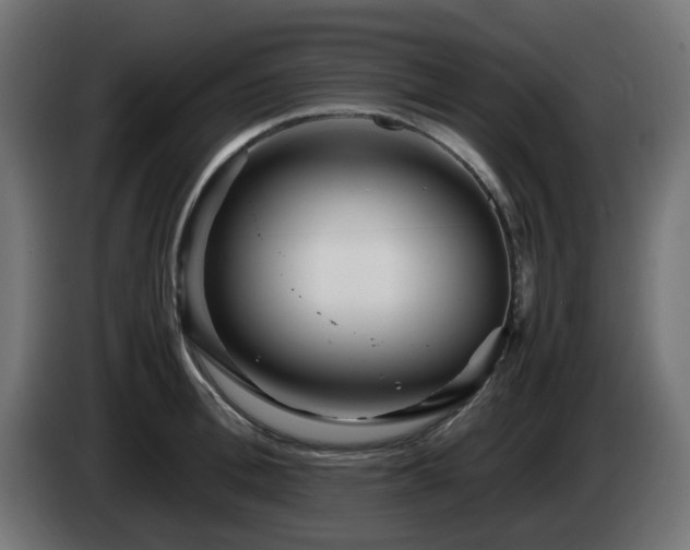 X0000084550996200703021502