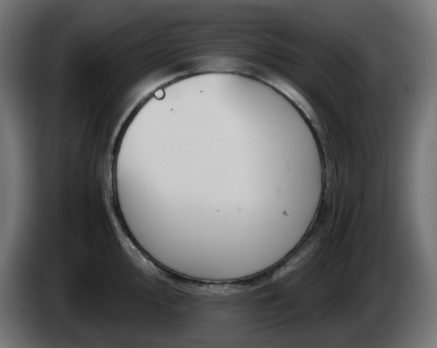 X0000084551000200703021502