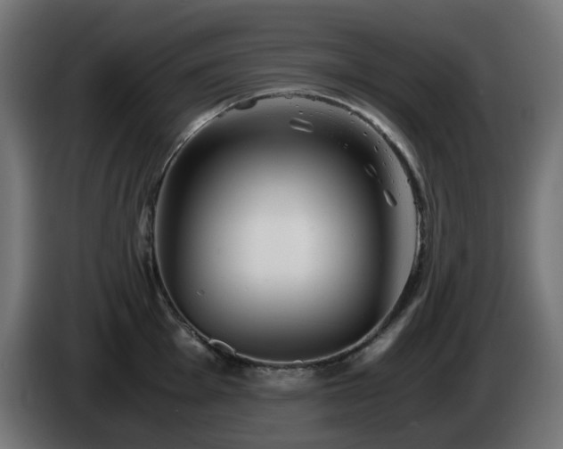 X0000084551001200703021502
