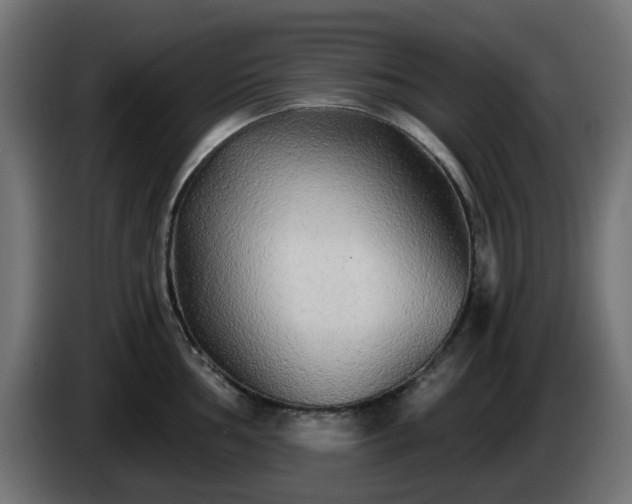 X0000084551002200703021502