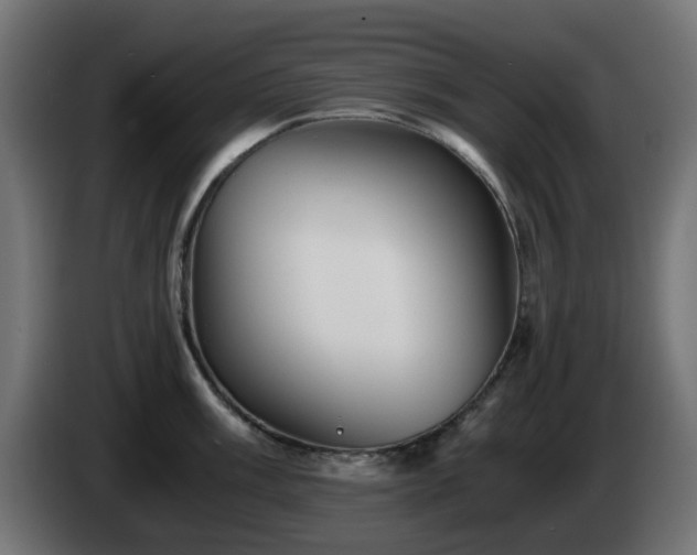 X0000084551003200703021502