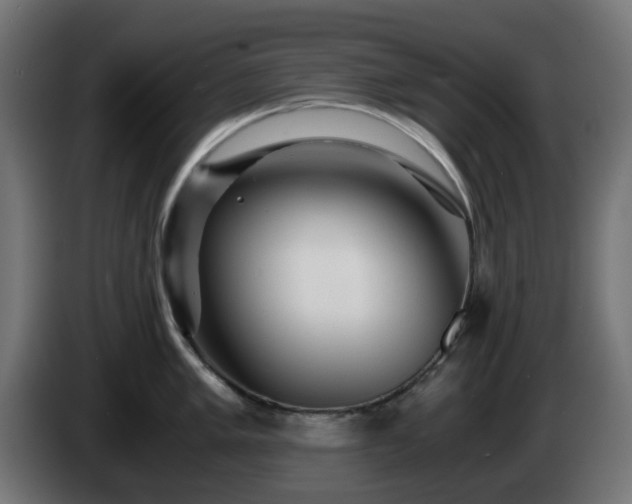 X0000084551005200703021502