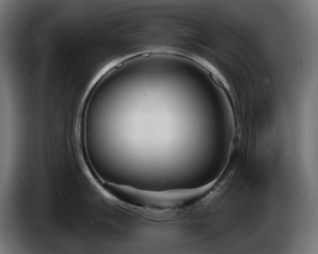 X0000084551007200703021502