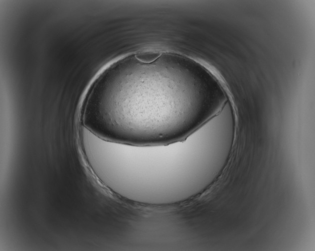 X0000084551008200703021502