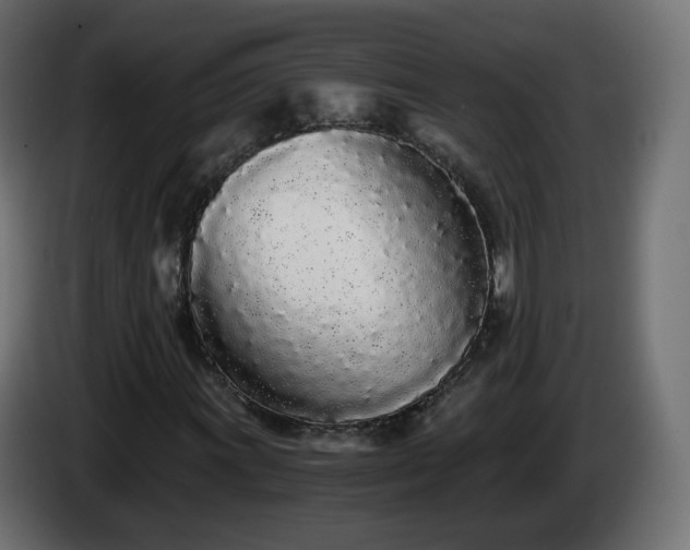 X0000084551011200703021501