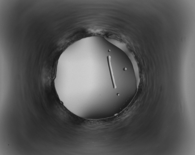 X0000084551012200703021501