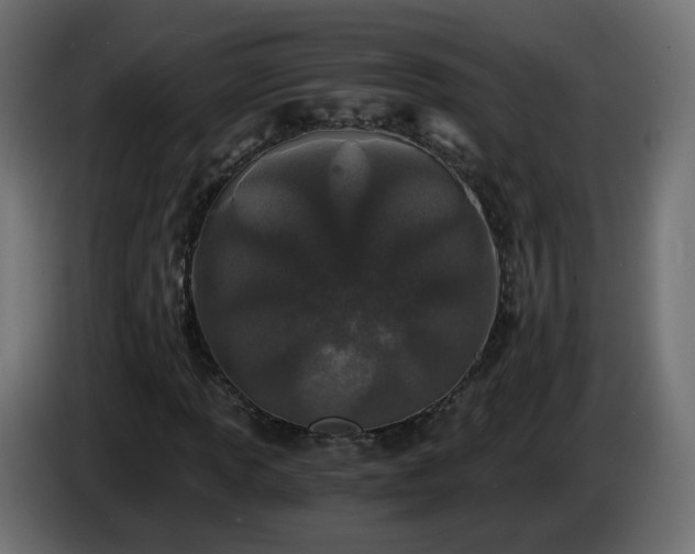 X0000084551013200703021501