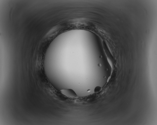 X0000084551014200703021501