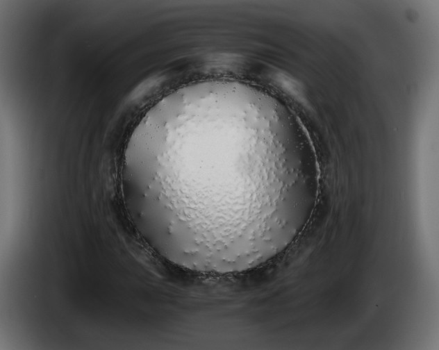 X0000084551015200703021501